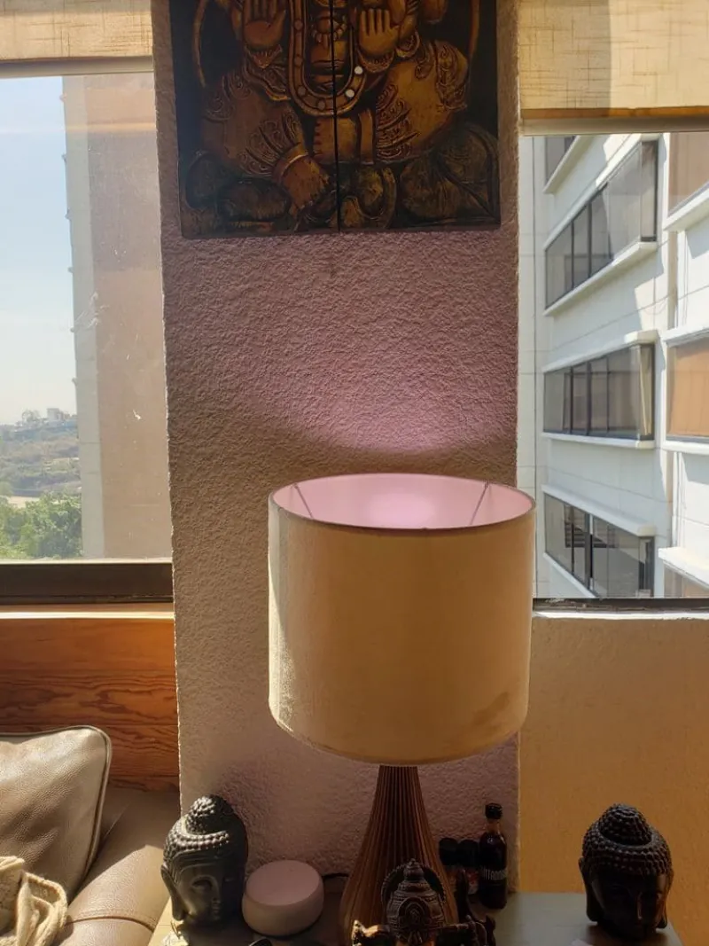 PENTHOUSE PEDREGAL CDMX